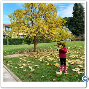 Autunno: foglie enormi