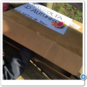 Autunno: la scatola dei tesori