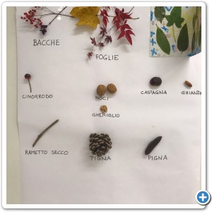 107a5ca2-a2ed-4c0b-a7e1-854efb0d652c