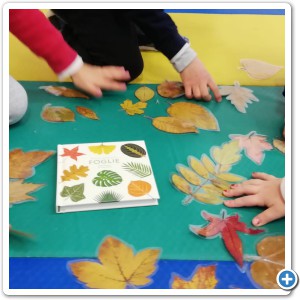 d1234963-49e6-43d9-ae04-90ae3ac51b60