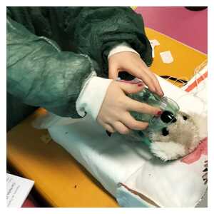 61d05391-9f9d-4a5a-8d1a-2f1a04620419