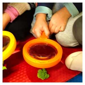 7506bbd8-0bef-48e7-b8fe-e685d2ce1df6