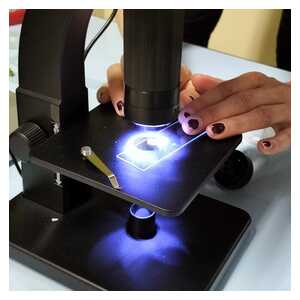 c3596e86-5a26-4181-b45c-cda33e3743a2