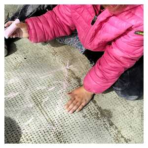 ec8e2bef-fcae-43c0-ac96-10bd3ba432c5